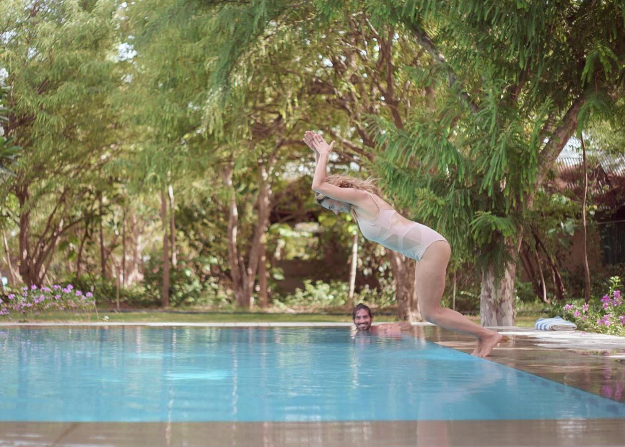 Pushkarorganic - Lux Farm Resort With Pool エクステリア 写真