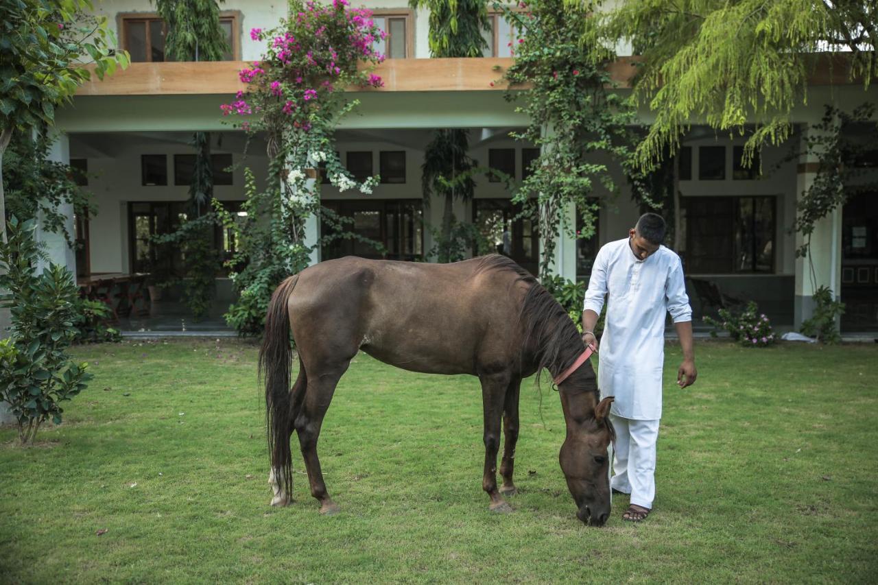 Pushkarorganic - Lux Farm Resort With Pool エクステリア 写真