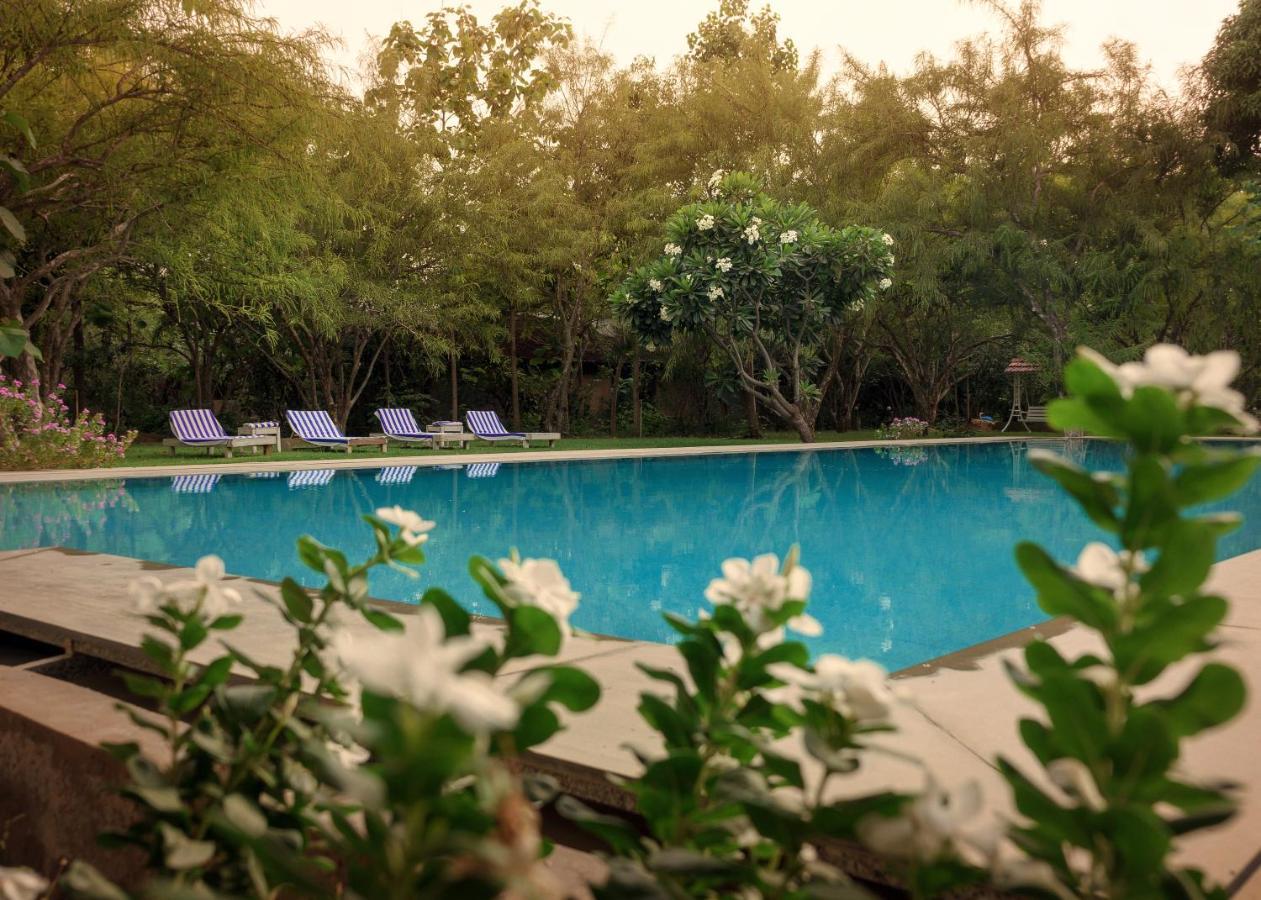 Pushkarorganic - Lux Farm Resort With Pool エクステリア 写真