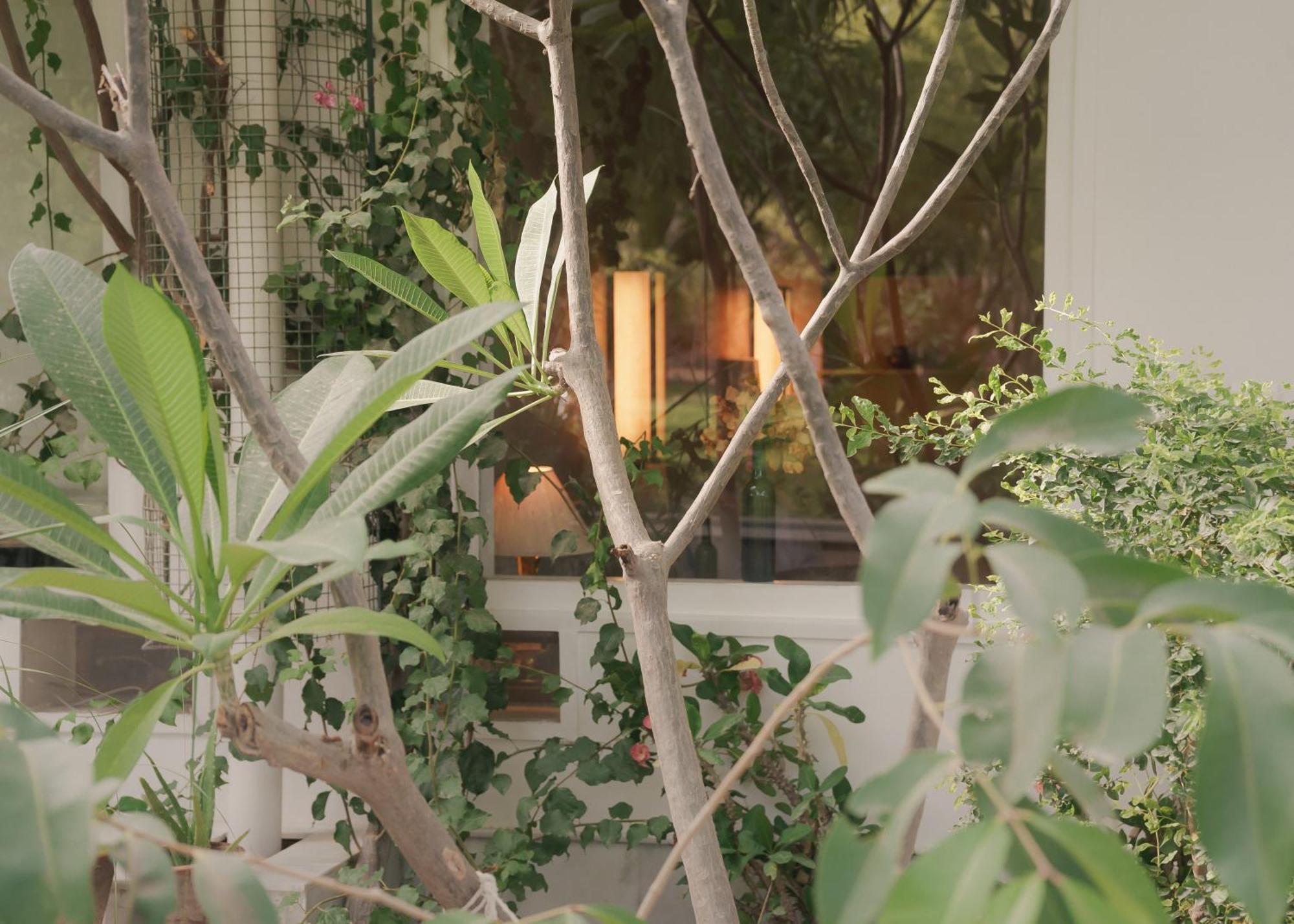 Pushkarorganic - Lux Farm Resort With Pool エクステリア 写真
